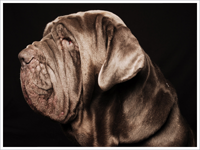 Ugo-fotograf-1-3.jpg