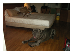 PICT0044.JPG